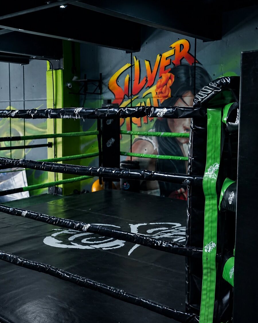 Ring de box con mural de Silver Force Gym en Calacoaya